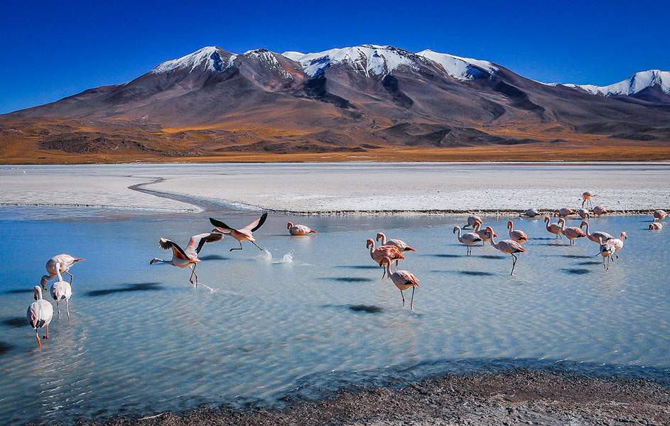 Bolivia is a top cheap country to visit in May