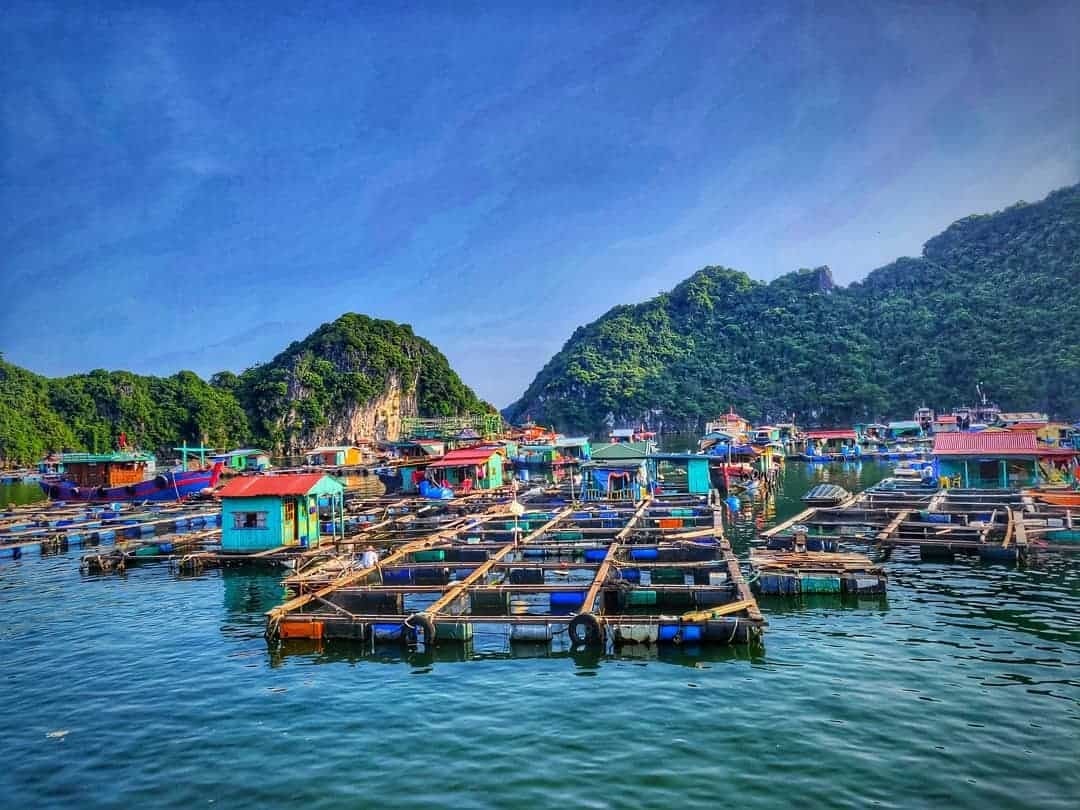 Cua Van Floating Village is one of the best Ha Long attractions for culture enthusiasts