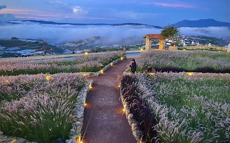 Da Lat weather in December: What you need to know