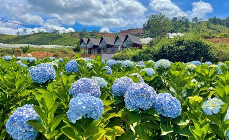 Da Lat weather in July: What travelers need to know