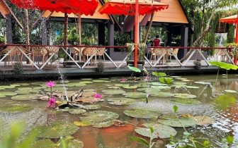 Saigon Crocodile Village: A complete guide for visitors