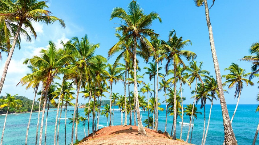 Sri Lanka’s scenery is highly underrated