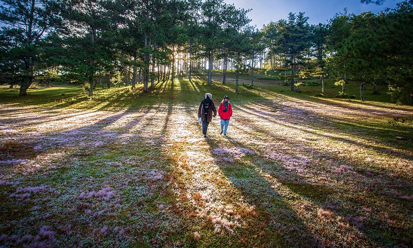 The weather in Da Lat in November is perfect for exploring the city