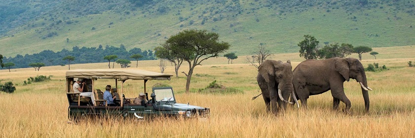 Treat yourself to a trip to Kenya for a glimpse at its untamed beauty