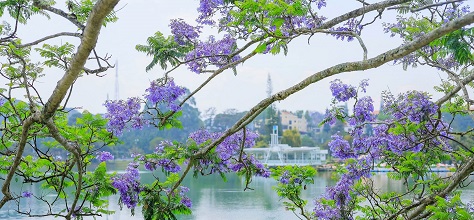 Da Lat weather in May: Everything you need to know