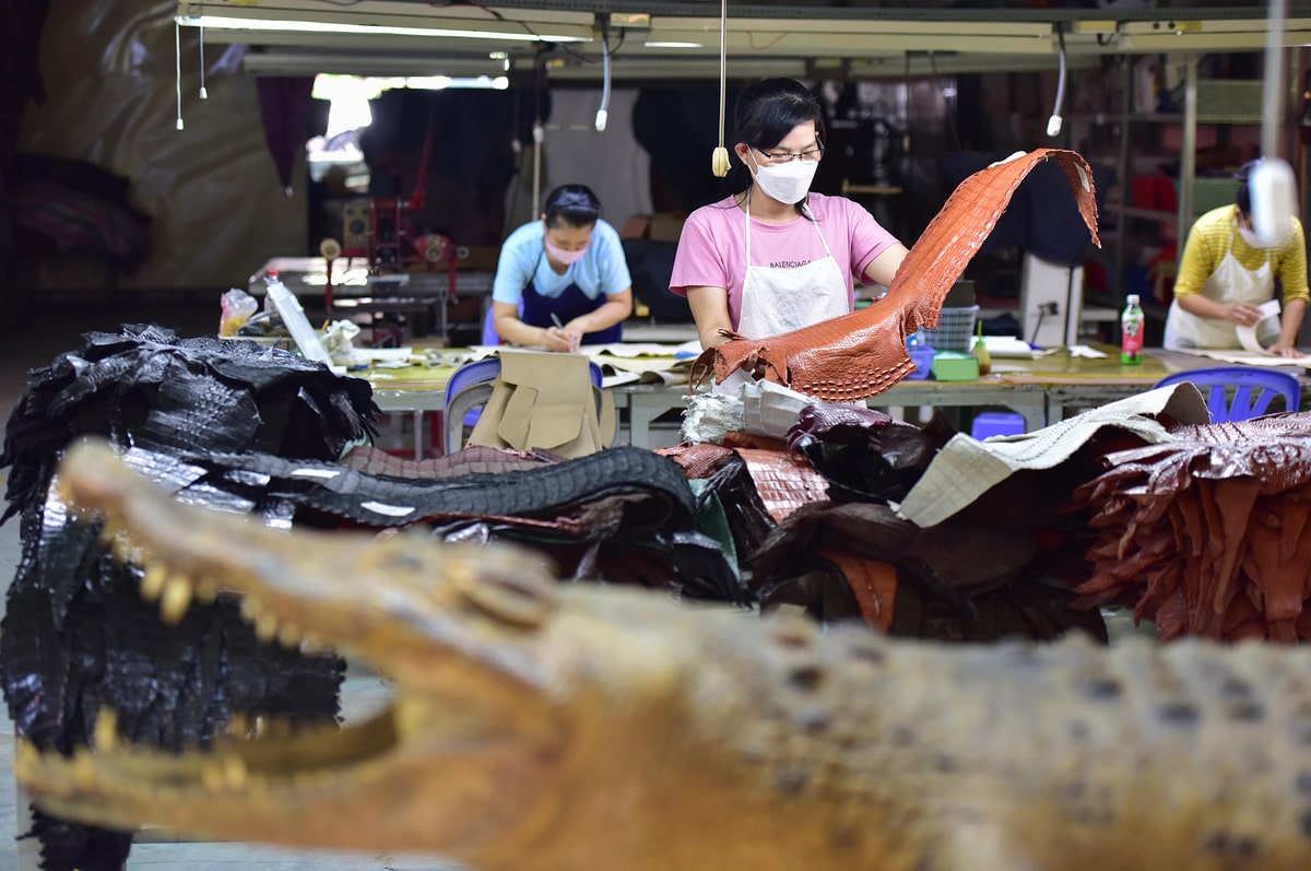 làng cá sấu ở Sài Gòn