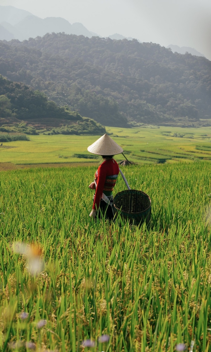 Weather in Pu Luong pu luong weather in April