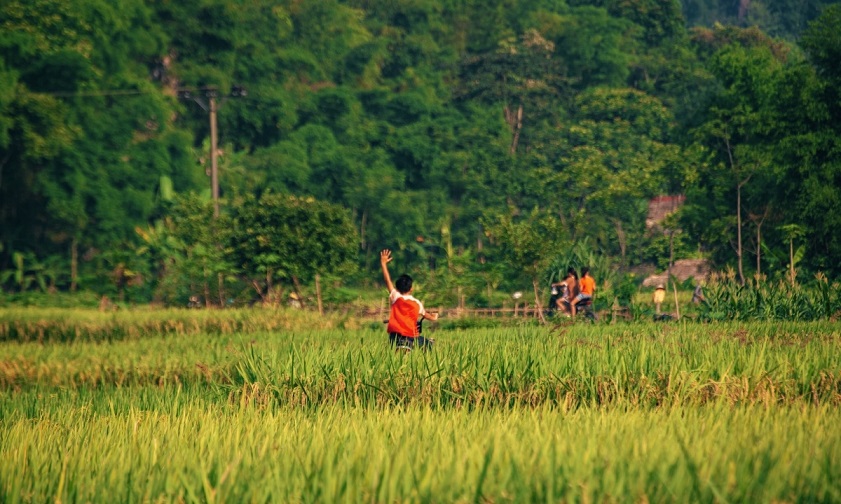 Weather in Pu Luong pu luong weather in February