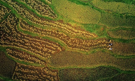 Weather in Pu Luong: Seasonal, monthly patterns & tips