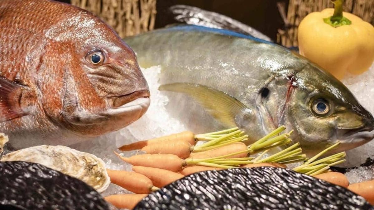 Towa - Japanese Cuisine & Lounge