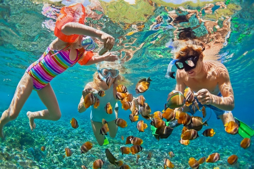 snorkeling in Vietnam Dive into the crystal-clear waters and discover the vibrant marine life waiting just beneath the surface