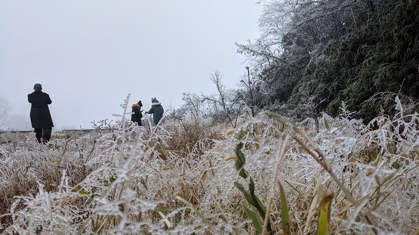 does it snow in Vietnam Does it snow in Vietnam? - Phia Oac is a hidden winter wonderland
