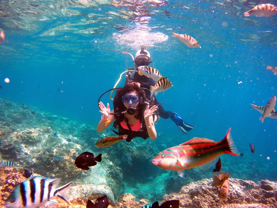 Doi Moi Island scuba diving