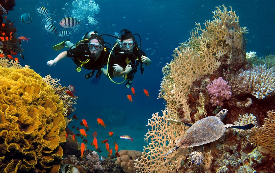 Fingernail Island Phu Quoc scuba diving