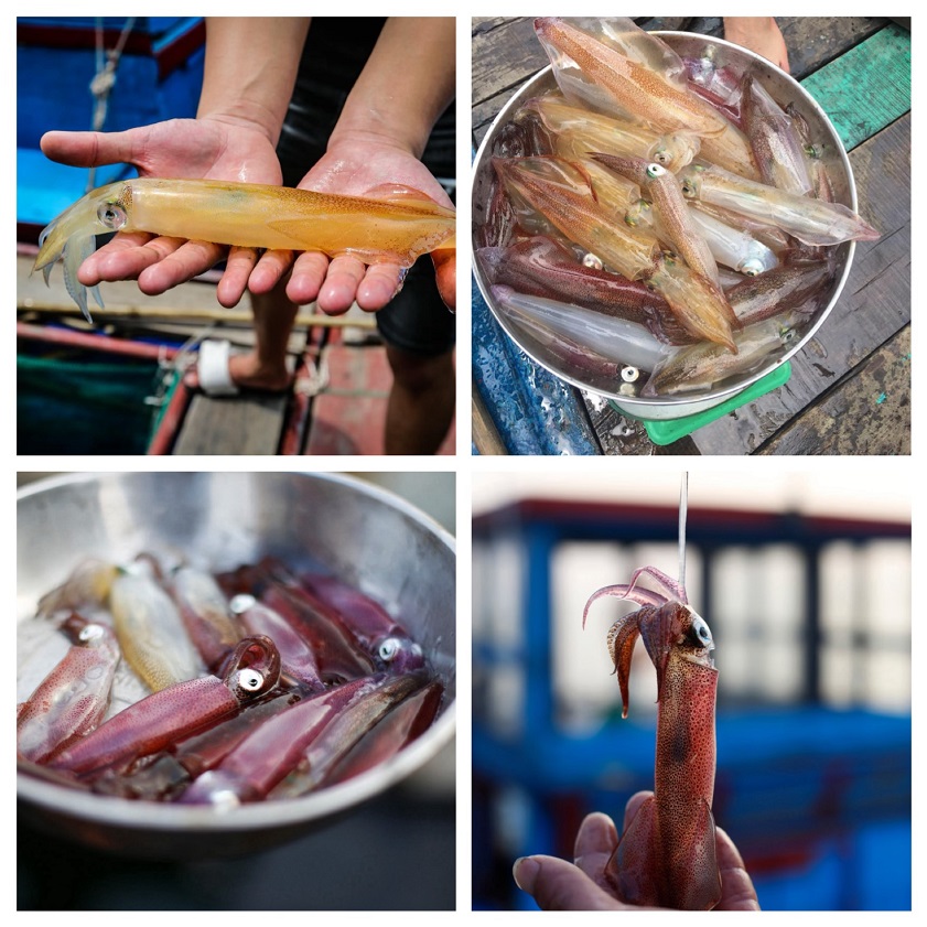 Jumping squid is a unique ingredient of Vietnamese seafood recipes