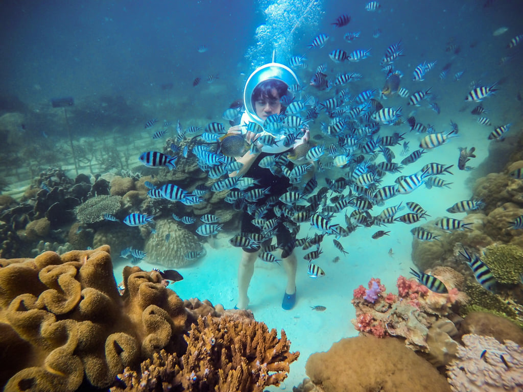 Phu Quoc coral park at May Rut Ngoai Island
