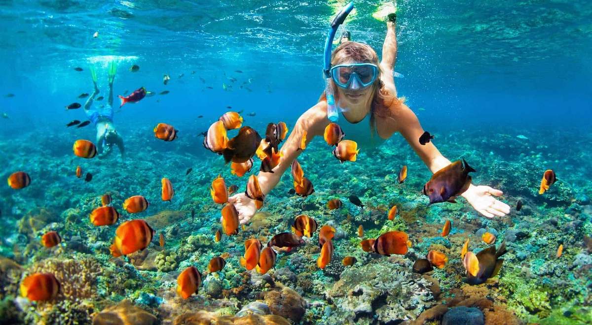 Snorkeling in Vietnam: An one-of-a-kind experience