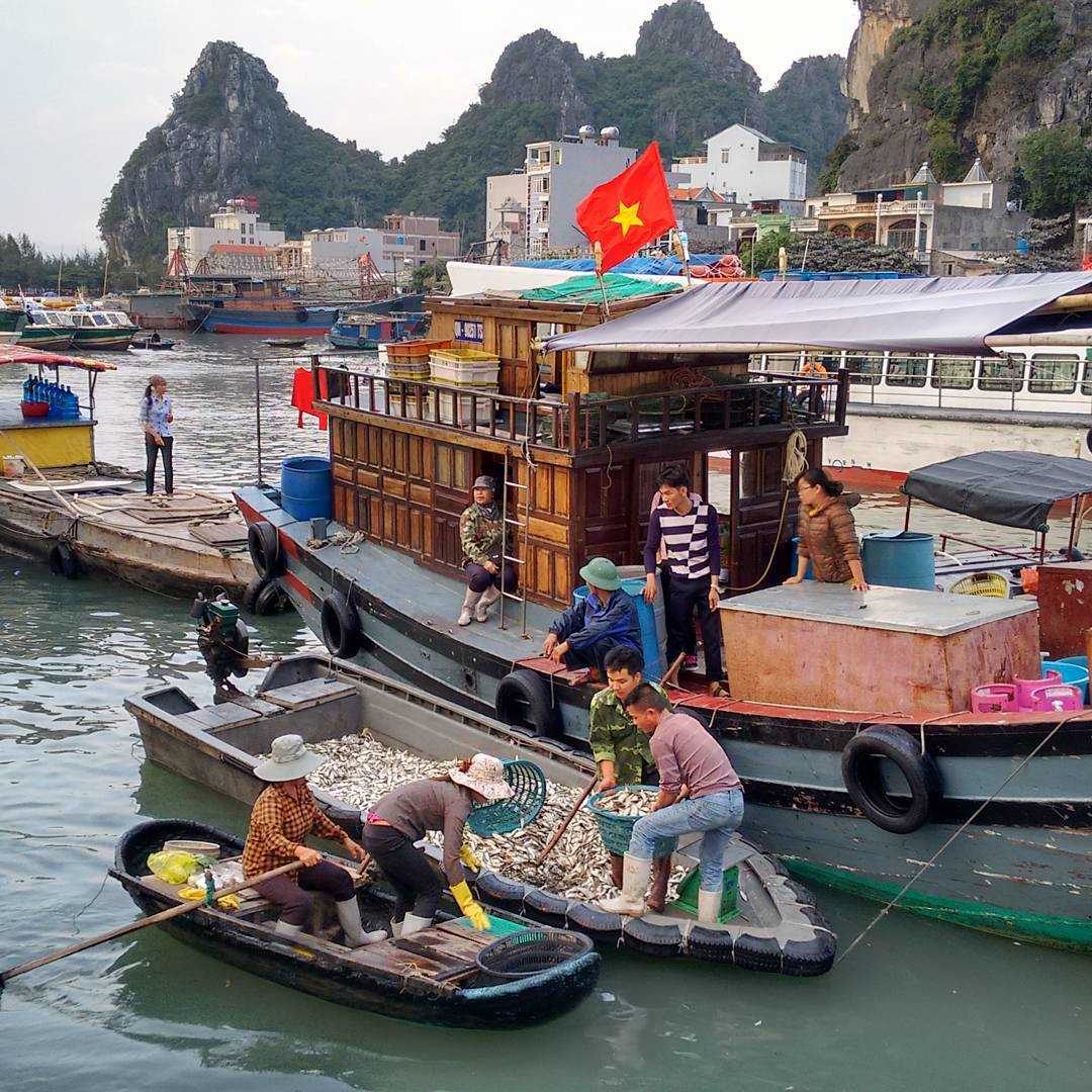 The calm atmosphere of Quan Lan Island makes it an excellent place for photography
