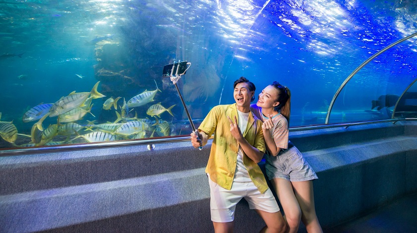 sunrise in Ha Long Bay The mesmerizing aquarium at VinWonders Nha Trang