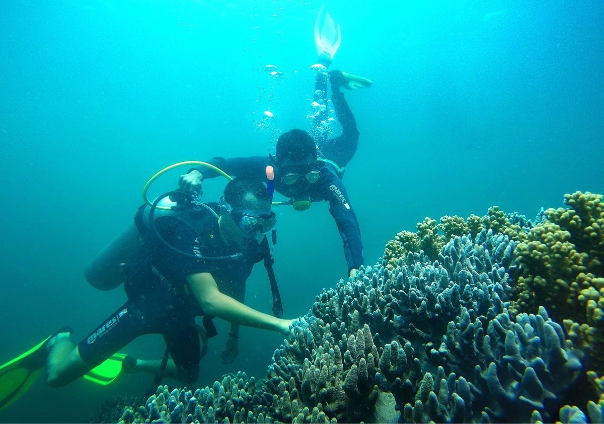 Các hình thức lặn biển Cù Lao Chàm