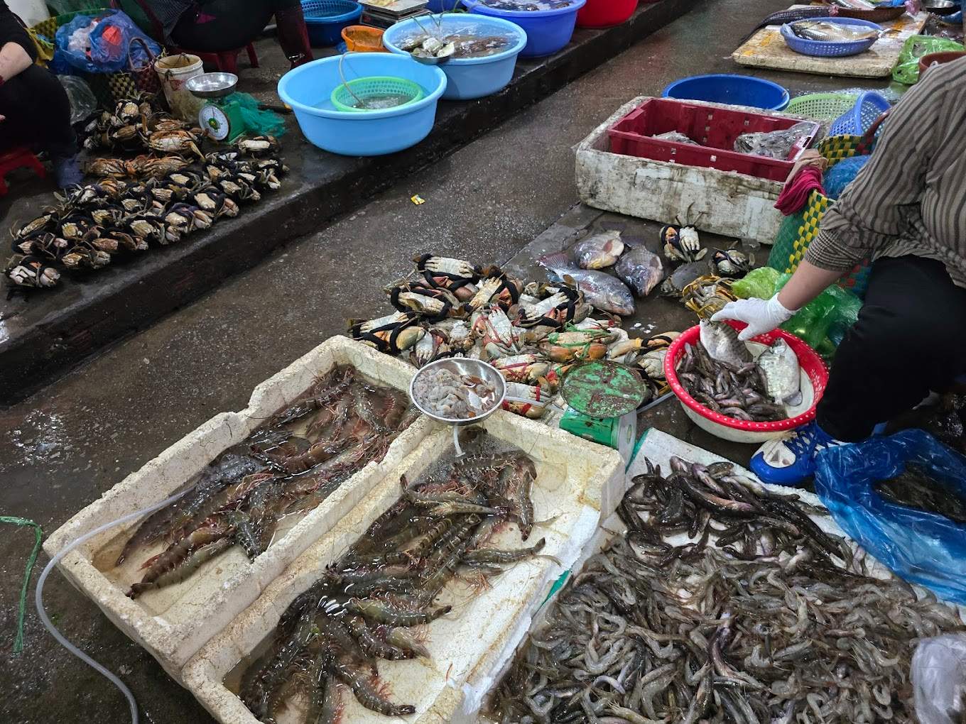Hải sản tại chợ Rừng