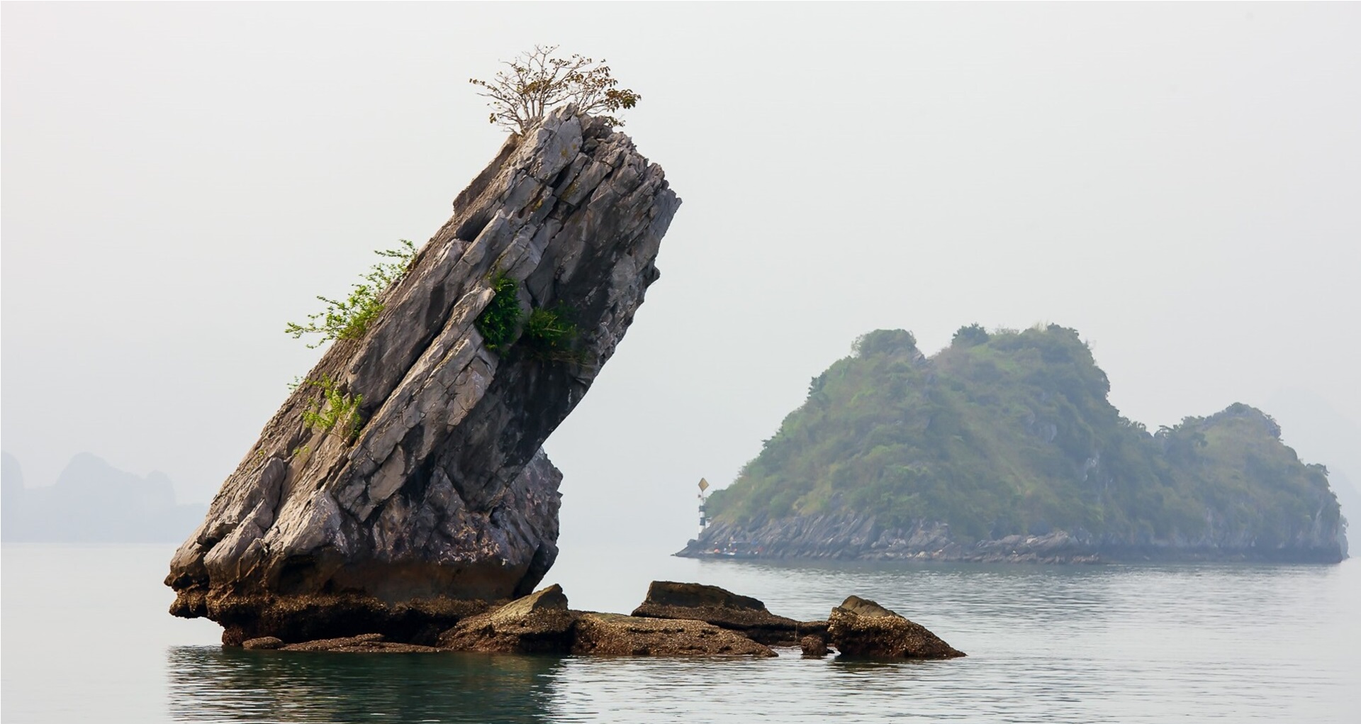 Hòn Con Cóc ở Vịnh Hạ Long