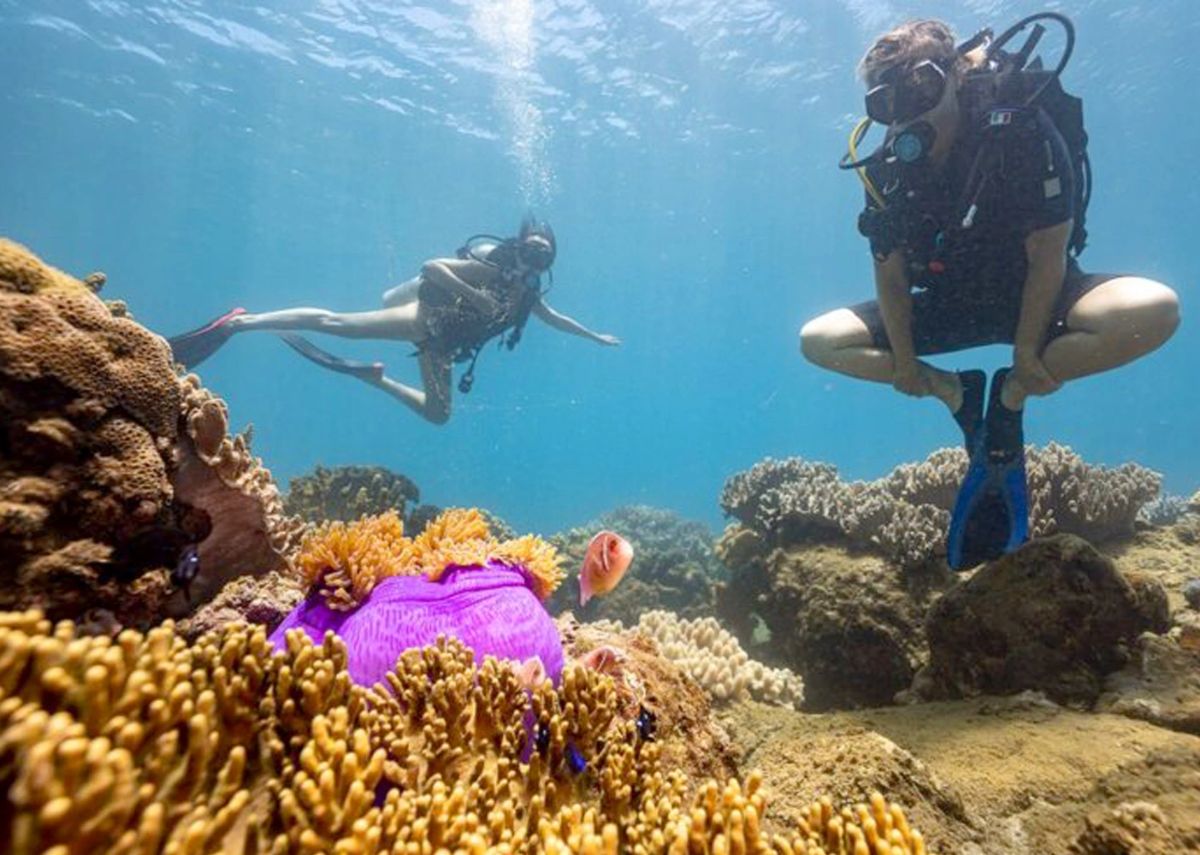 Lưu ý khi lặn biển ngắm san hô