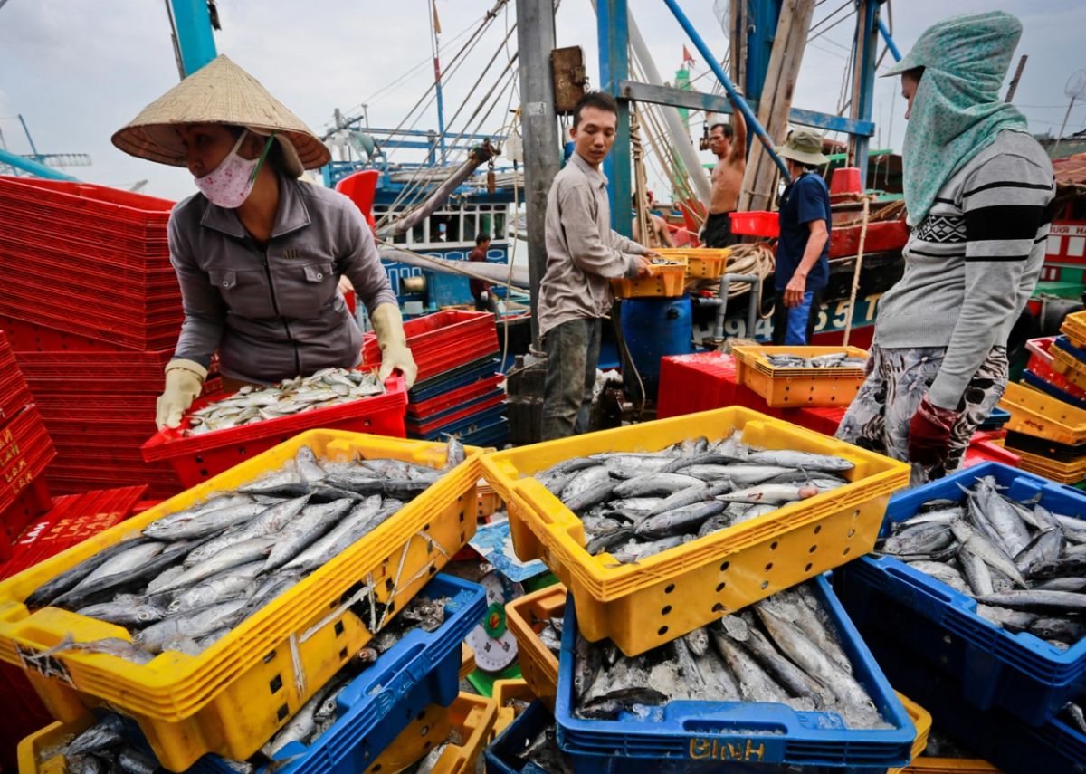 Mua hải sản tại Mũi Ngọc Móng Cái