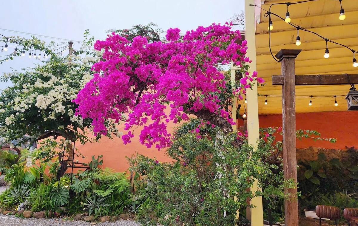 Quán cafe đẹp ở Hạ Long quán cafe view đẹp Hạ Long