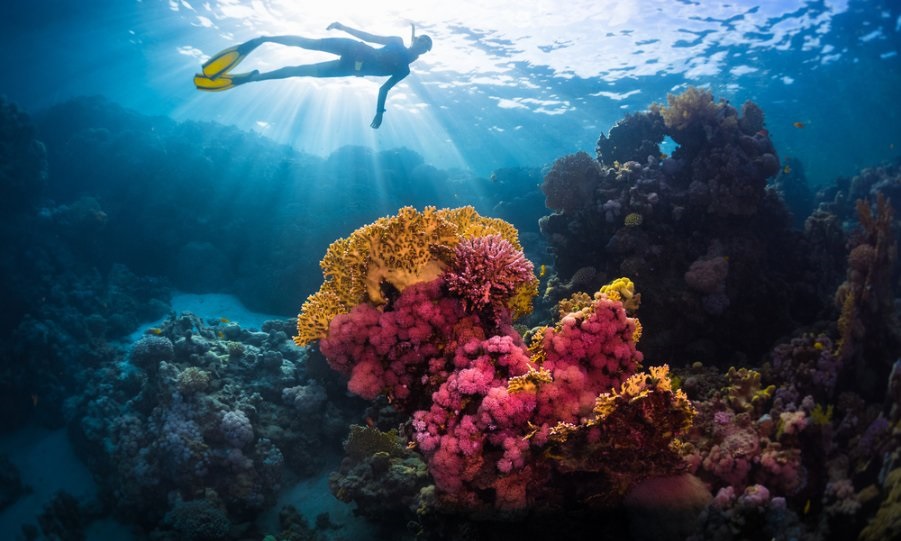 scuba diving at Gam Ghi Island Phu Quoc