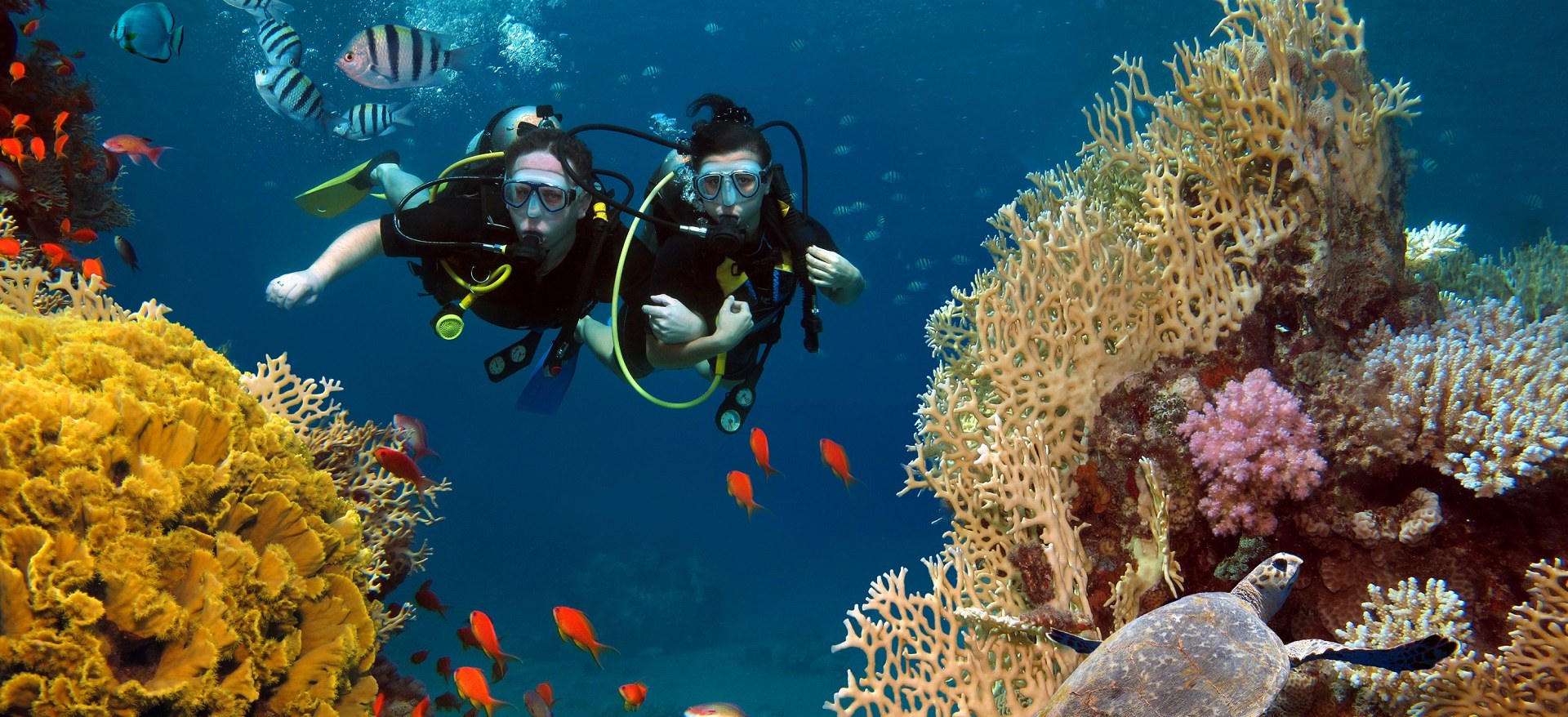 Snorkeling in Vietnam