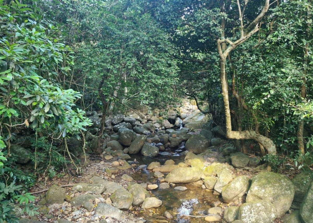 Suối Giải Oan Sự tích suối Giải Oan chùa Yên Tử