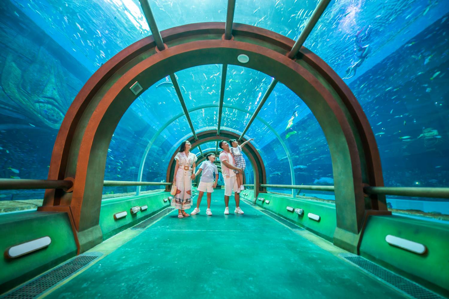 Bún cù kỳ Tham quan VinWonders Phú Quốc