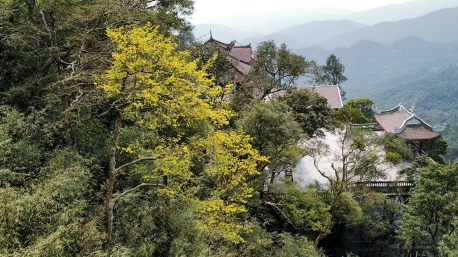 Thời tiết Yên Tử thế nào? Du lịch Yên Tử mùa nào đẹp nhất?