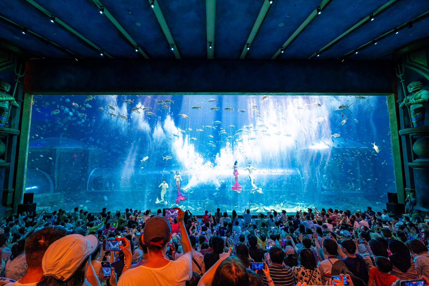 Thủy cung VinWonders Phú Quốc