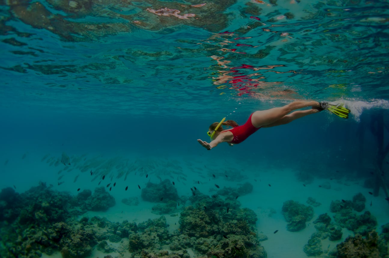 Trải nghiệm lặn biển ở Hòn Nhờn Cù Lao Chàm