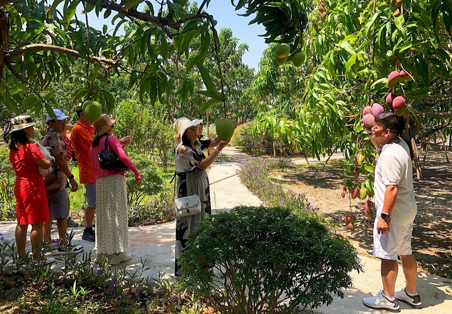 Cam Ranh Bay Cam Lam Mango Garden in Cam Ranh