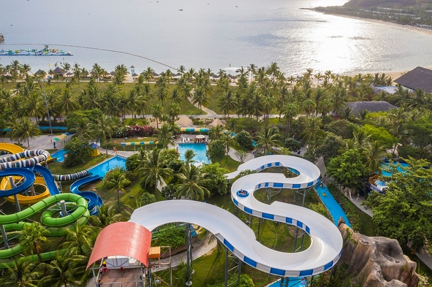 Enjoy water fun with Tail Wagging Lizard