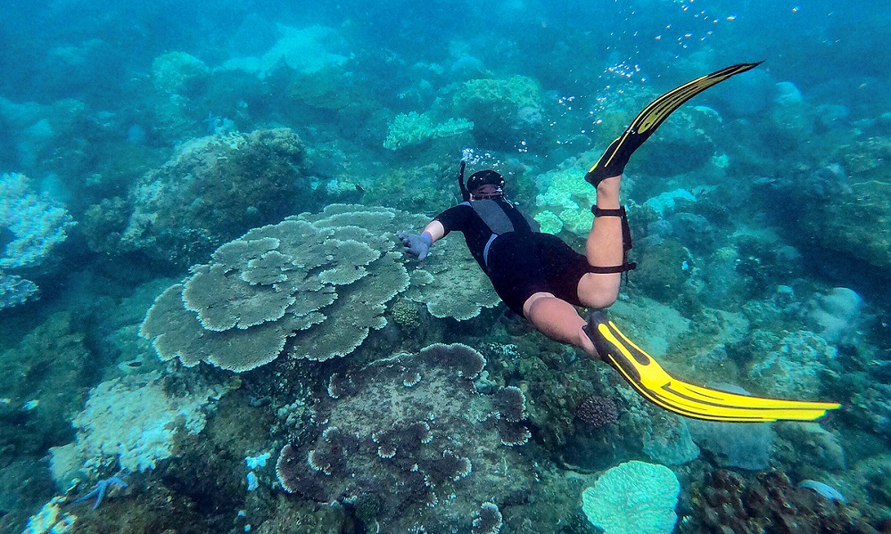 Snorkeling at Son Tra Peninsula - a must-try activity