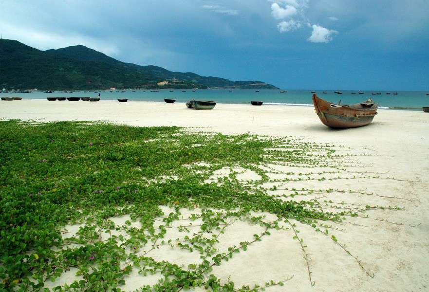 Xuan Thieu Beach is one of the most scenic spots in Da Nang