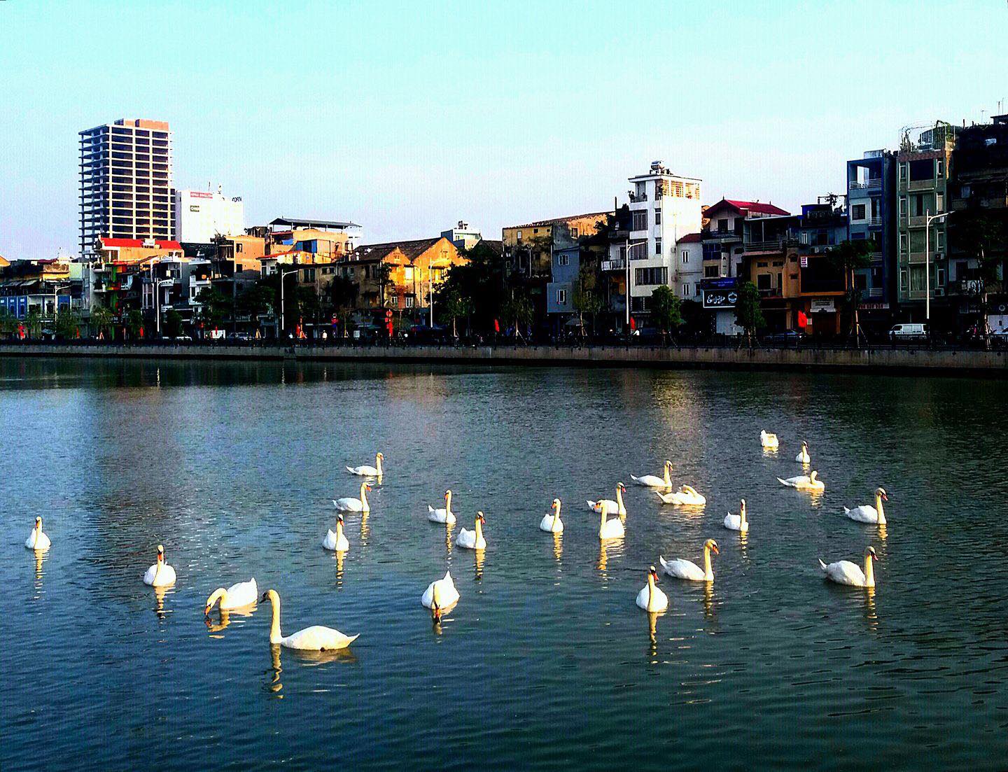 Sông Tam Bạc Check in sông Tam Bạc