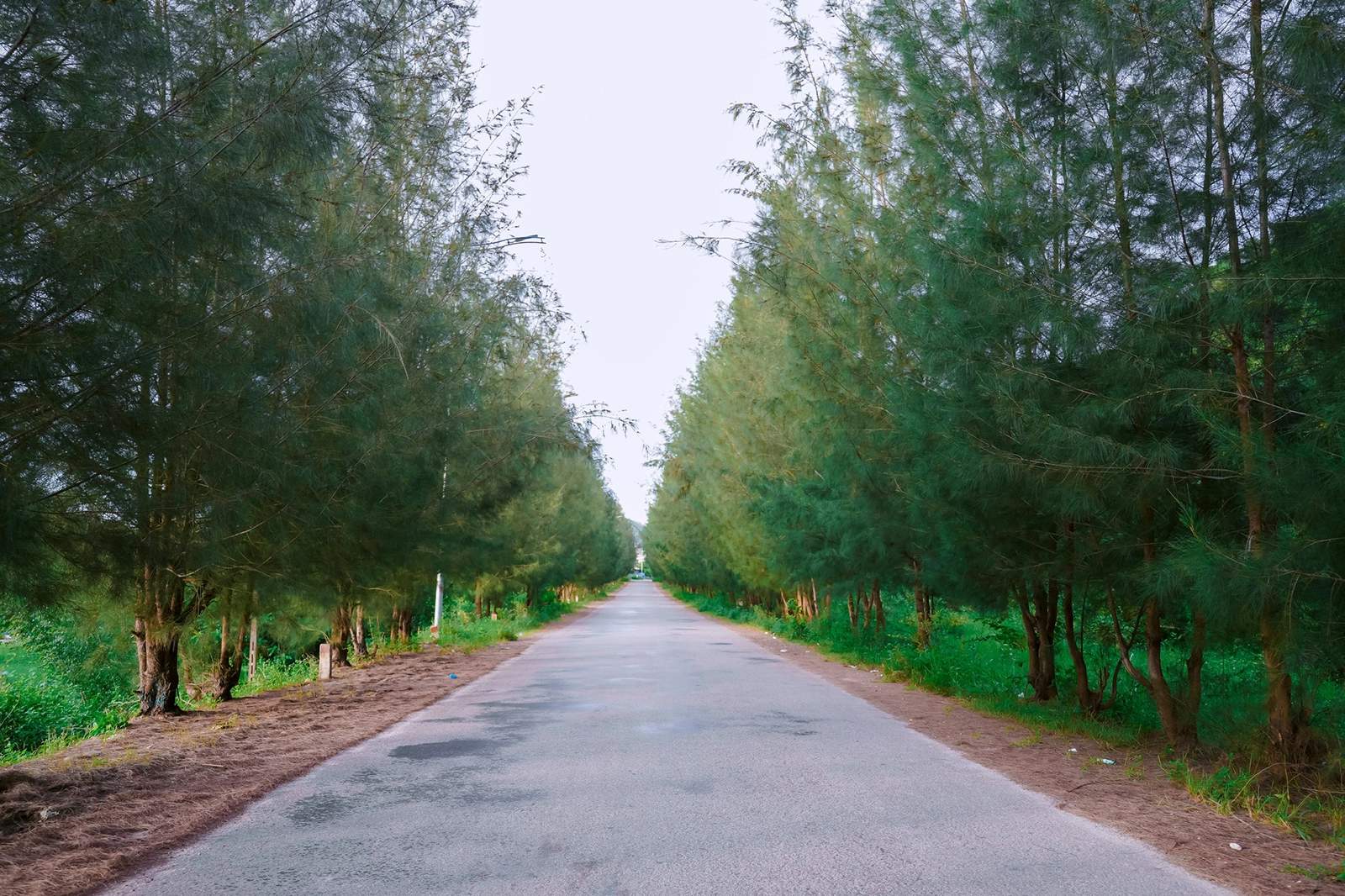 Đường phi lao Quan Lạn