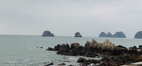 Ngoc Vung Island: A perfect spot for a peaceful retreat