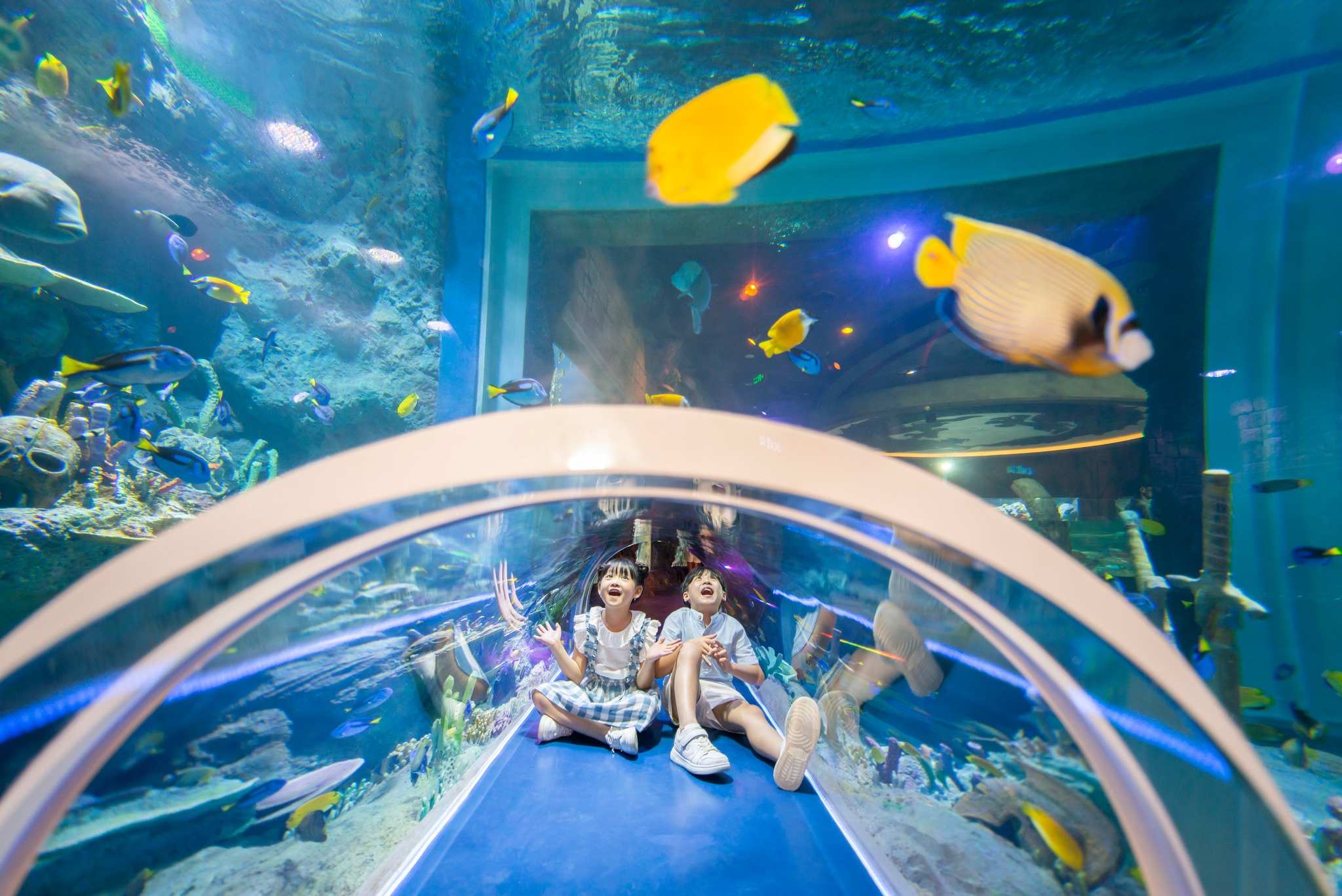 Thế giới đại dương ở VinWonders Phú Quốc