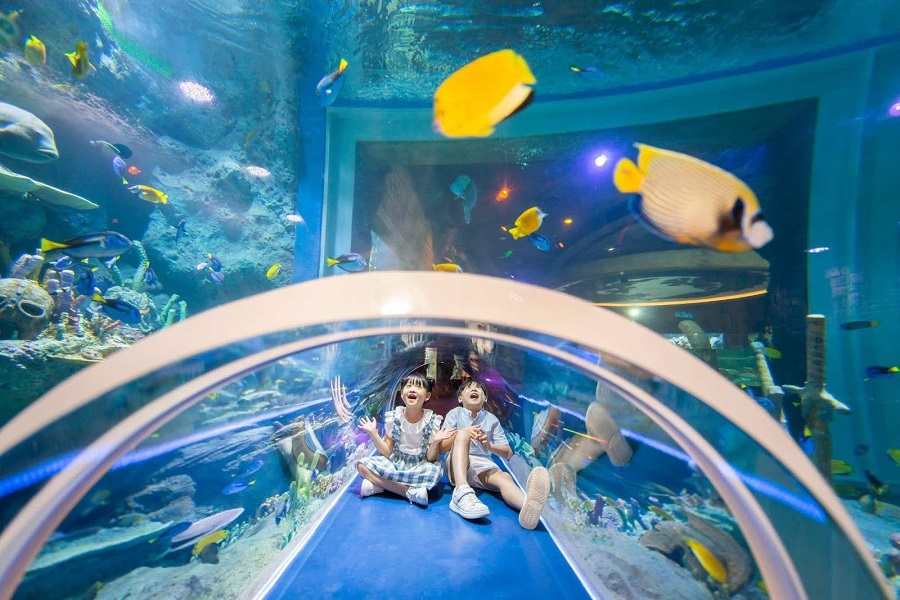 Thế giới đại dương VinWonders Phú Quốc