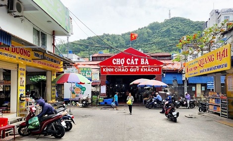 Cat Ba Market: A seafood paradise on Cat Ba Island