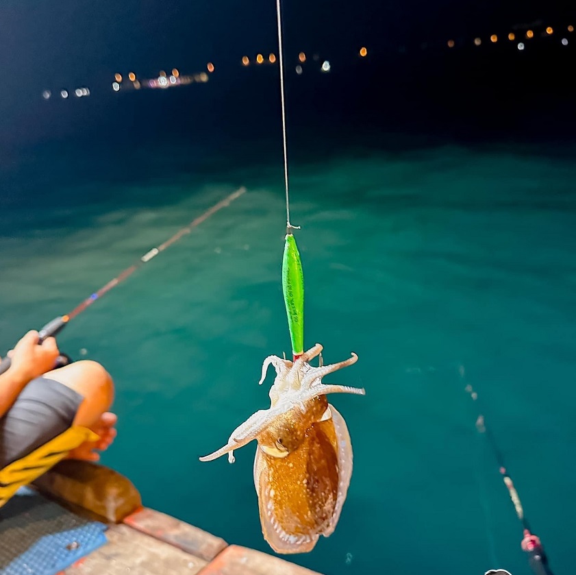 Don’t exclude the night when planning your Phu Quoc solo travel