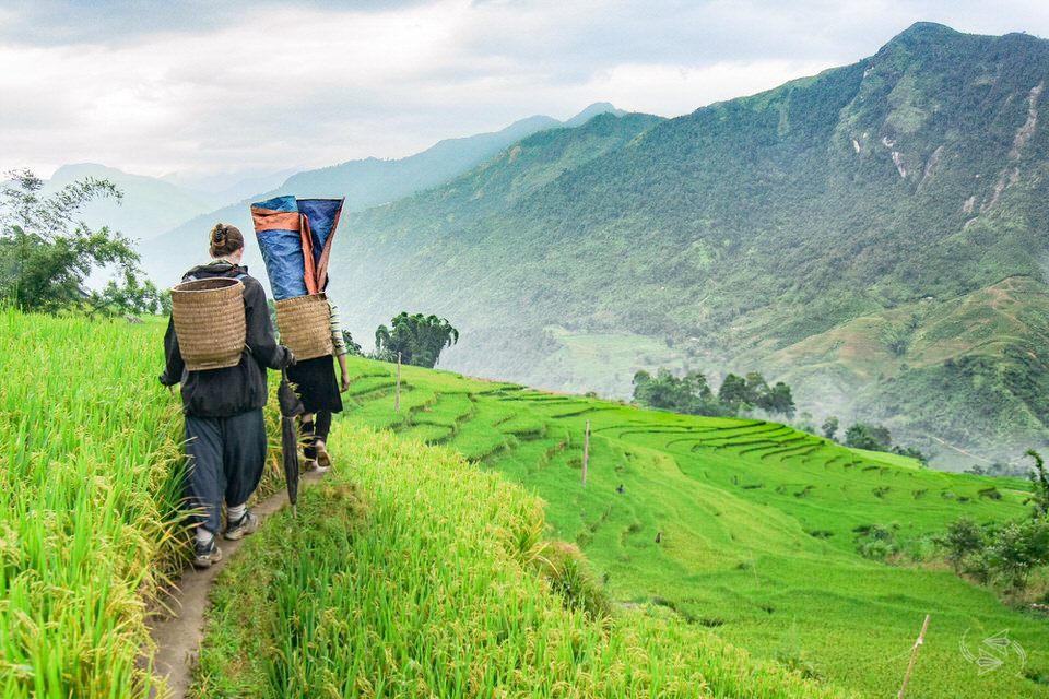 Sapa itinerary for a 5-day trip