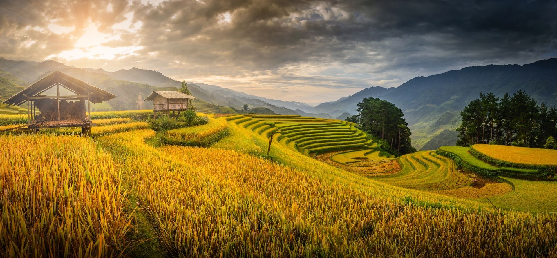 Philippines vs Vietnam