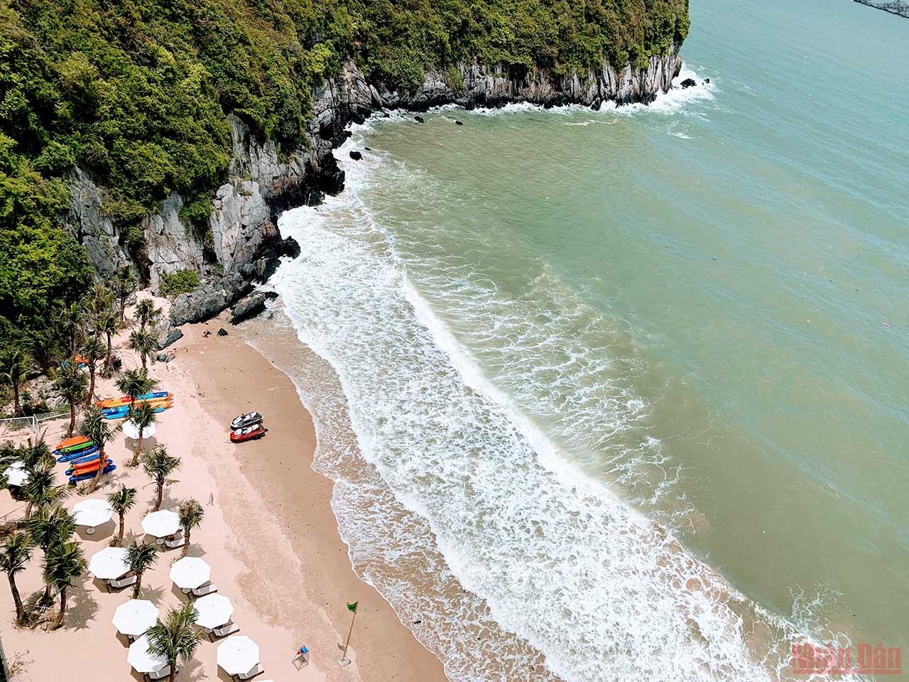 The lively spirit of Cat Co 1 Beach